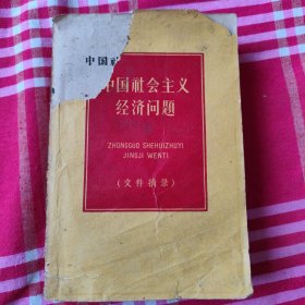 中国社会主义经济问题