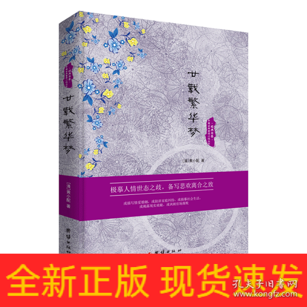 中国古典世情小说丛书：廿载繁华梦