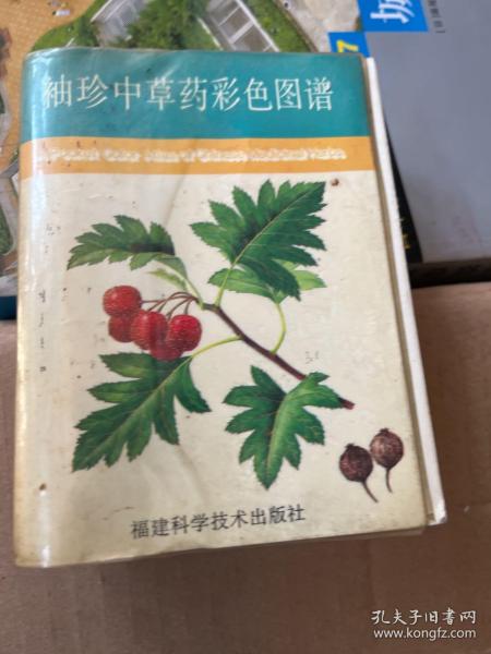 袖珍中草药彩色图谱