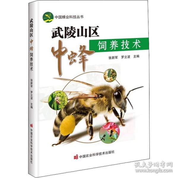 武陵山区中蜂饲养技术