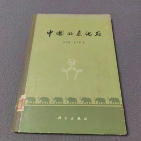 中国的象化石