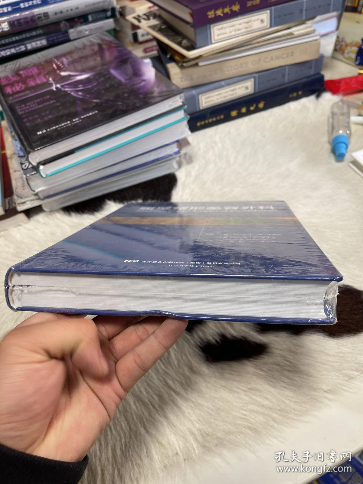 腹壁整形美容外科