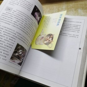 猫咪家庭医学大百科