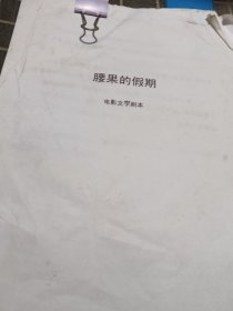 电影文学剧本《腰果的假期》稿
