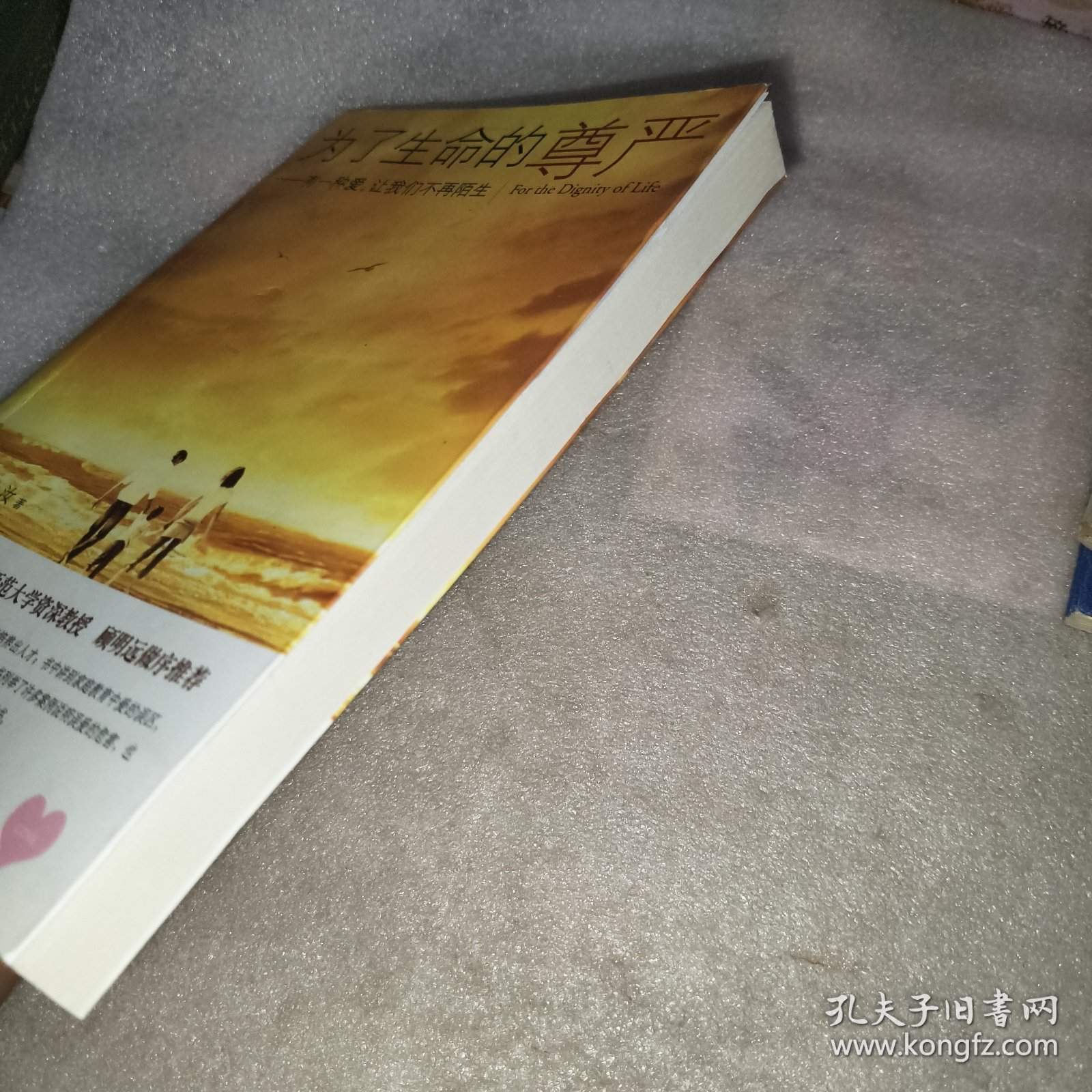 为了生命的尊严