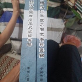 南阳汉代画像石墓发掘报告集(一，二)全两册