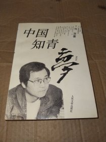 中国知青梦