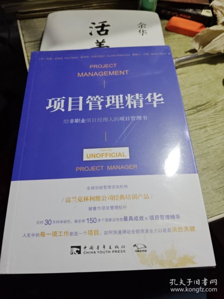 项目管理精华：给非职业项目经理人的项目管理书