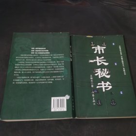 市长秘书：又名《心灵庄园》