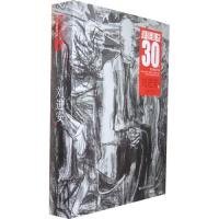 学院美术30年刘进安 9787533030605 郑岗 刘进安 山东美术出版社