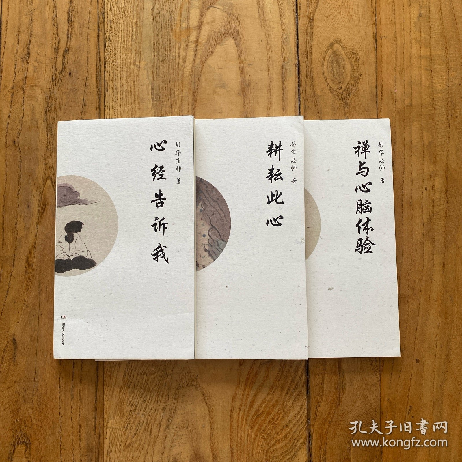 心经告诉我 禅与心脑体验 耕耘此心