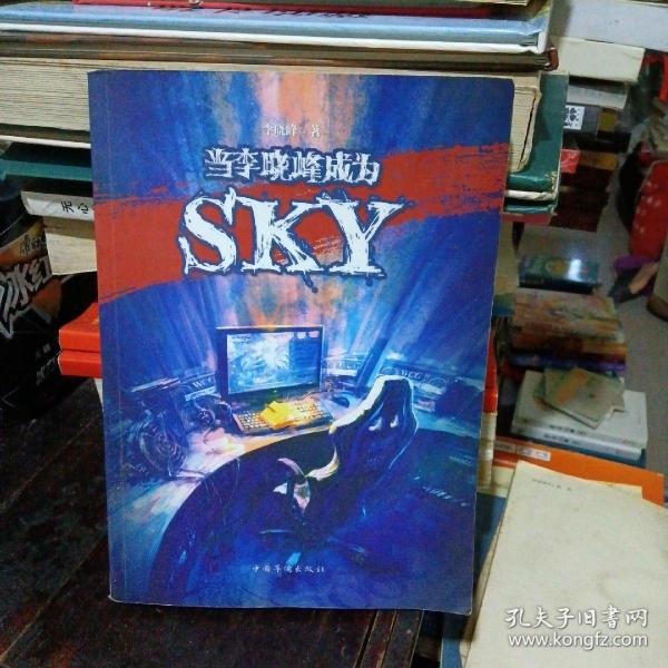 当李晓峰成为SKY