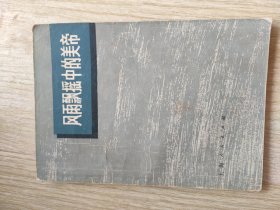 风雨飘摇中的美帝
