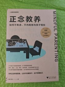 正念教养：如何不焦虑、不内耗地与孩子相处