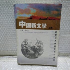 中国新文学上