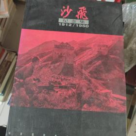 沙飞纪念集：The commemorative album of Sha Fei