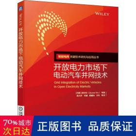 开放电力市场下并网技术 汽摩维修 (丹)吴秋伟 等