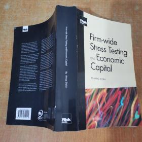 Firm-Wide Stress Testing and Economic CapitaI