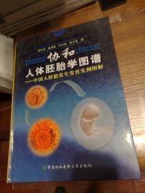 人体胚胎学图谱：中国人胚胎发生发育实例图解