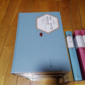 名著名译丛书：童年·在人间·我的大学