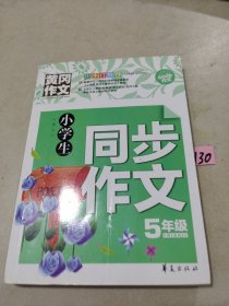 小学生同步作文五年级