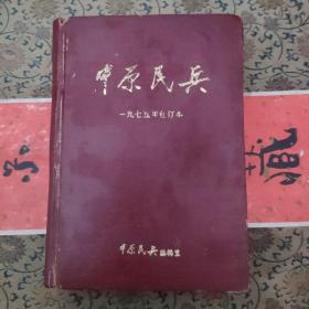 中原民兵研究(1973-1985转型中的中原民兵)