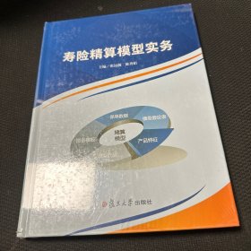 寿险精算模型实务【16开，精装】