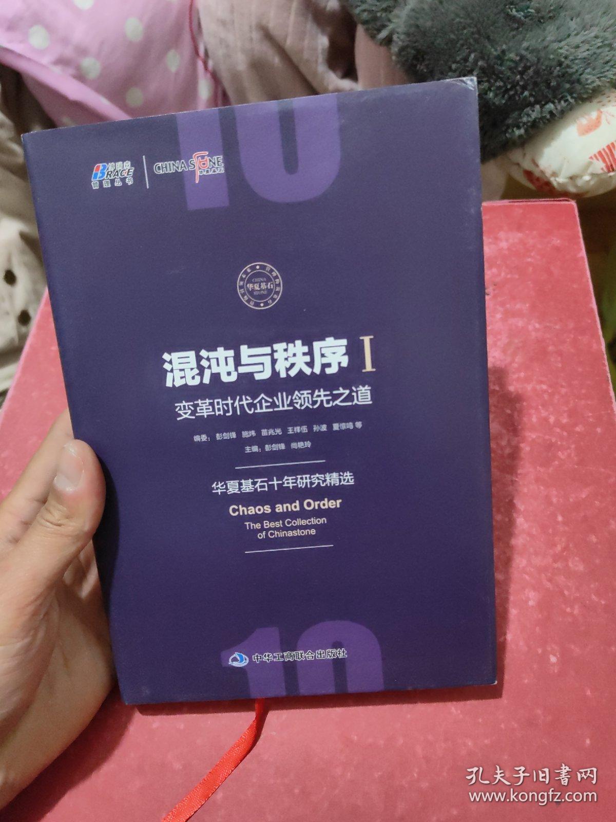 混沌与秩序1：变革时代企业领先之道