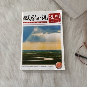 微型小说选刊2021.17/杂志