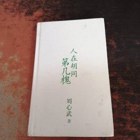 人在胡同第几槐