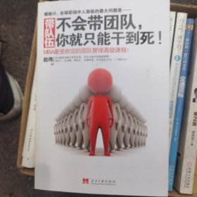 带队伍：不会带团队，你就只能干到死！：MBA最受欢迎的团队管理高级课程