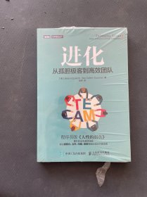 进化：从孤胆极客到高效团队