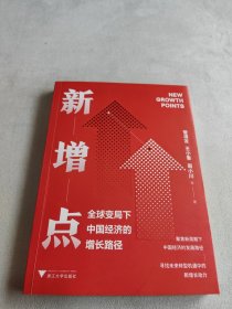 新增点：全球变局下中国经济的增长路径