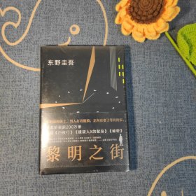 黎明之街（东野圭吾极具突破性的经典长篇小说）