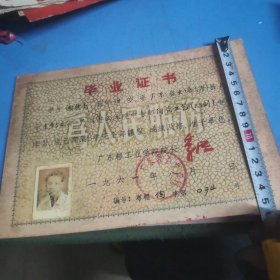 广东省轻工业学校：1961年毕业证书