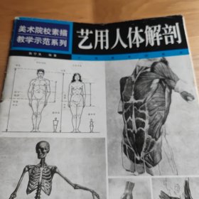 艺用人体解剖 美术院校素描教学示范系列