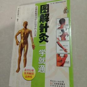 图解针灸一学就通