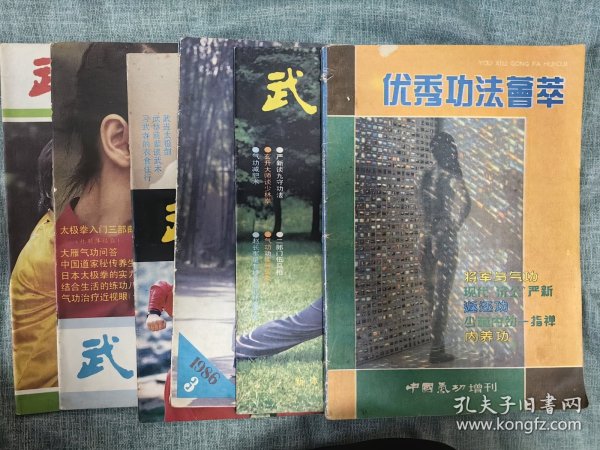 武术健身功法精选