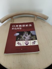 口岸截获蚧虫彩色图鉴