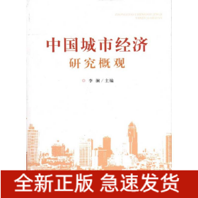 中國城市經(jīng)濟研究概觀