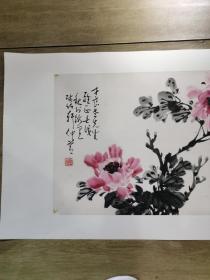 邵仲节牡丹（画芯68x45㎝）