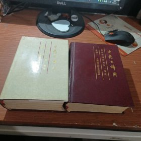 中药大辞典上下