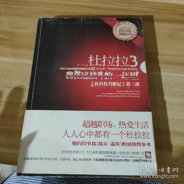 杜拉拉3：我在这战斗的一年里