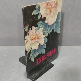 王少卿牡丹写生集