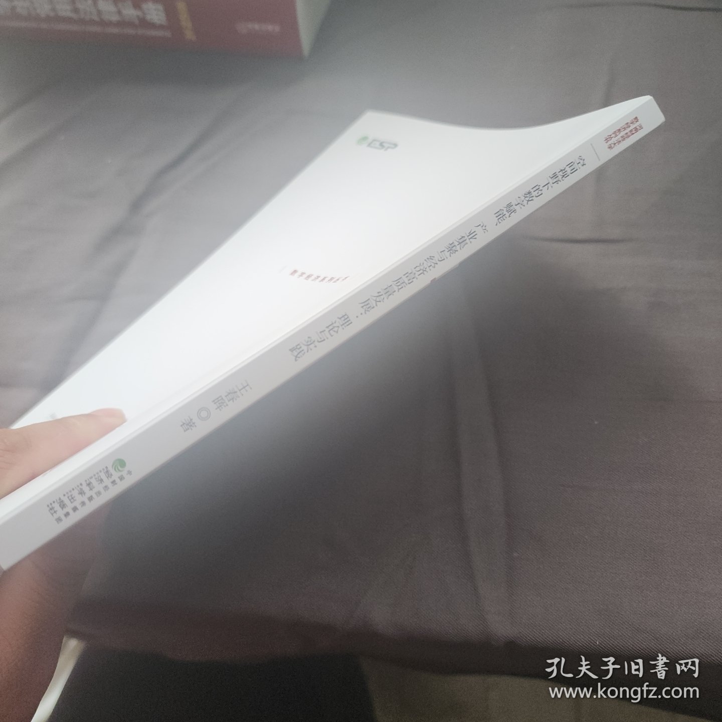 空间视野下的数字赋能、产业集聚与经济高质量发展:理论与实践