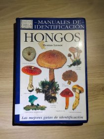 蘑菇 mushroom英文