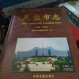 靈寶市志:1988-2000