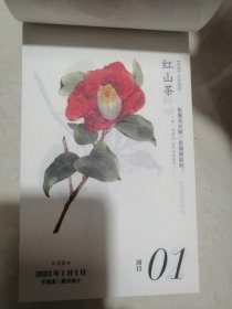 花开有时2023年日历