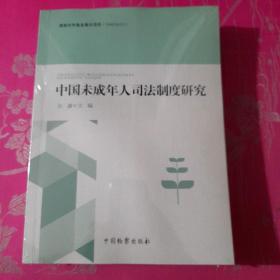 中国未成年人司法制度研究