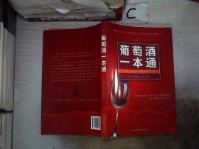 普京传：他为俄罗斯而生